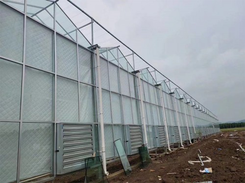 玻璃溫室